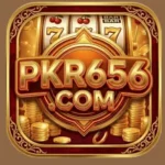 PKR656 LOGO