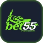 BET55 Game