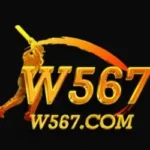 W567 Game Logo