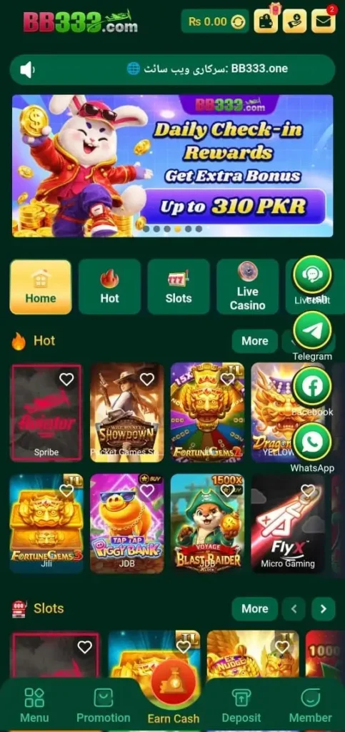 BB333 Game